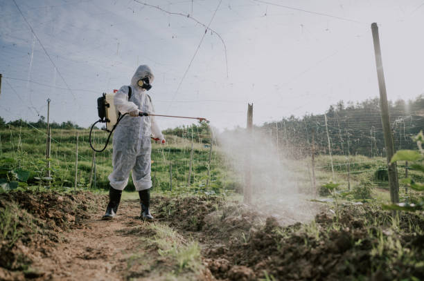 Pest Prevention Services in Thompson, ND