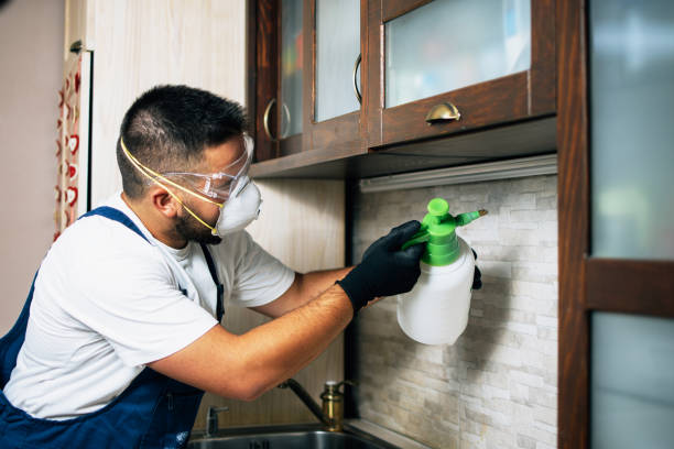 Best Wildlife Control Services  in Thompson, ND