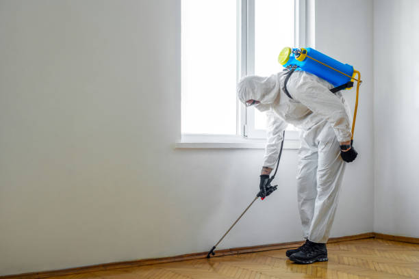 Best Best Pest Control Companies  in Thompson, ND