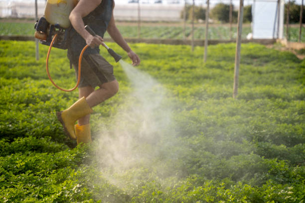 Best Affordable Pest Control Services  in Thompson, ND