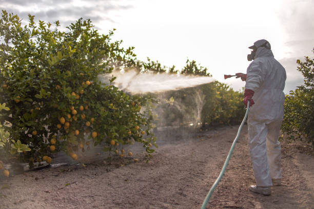 Best Bed Bug Extermination  in Thompson, ND