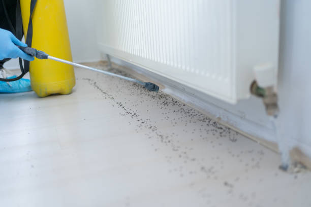 Best Emergency Pest Control  in Thompson, ND