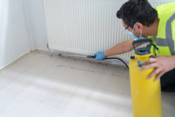 Best Pest Inspection Near Me  in Thompson, ND
