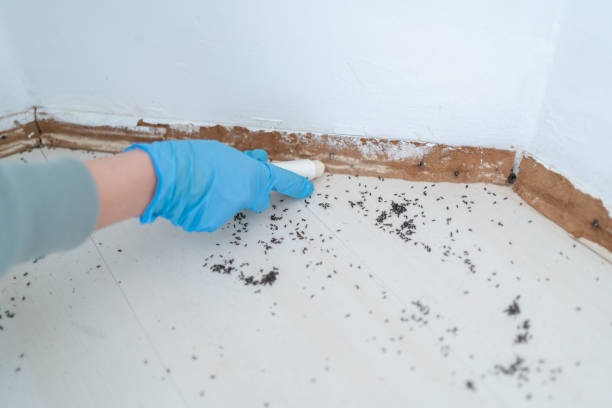 Best Pest Removal Services  in Thompson, ND