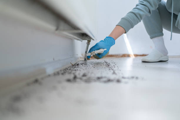 Best Pest Control Near Me in Thompson, ND