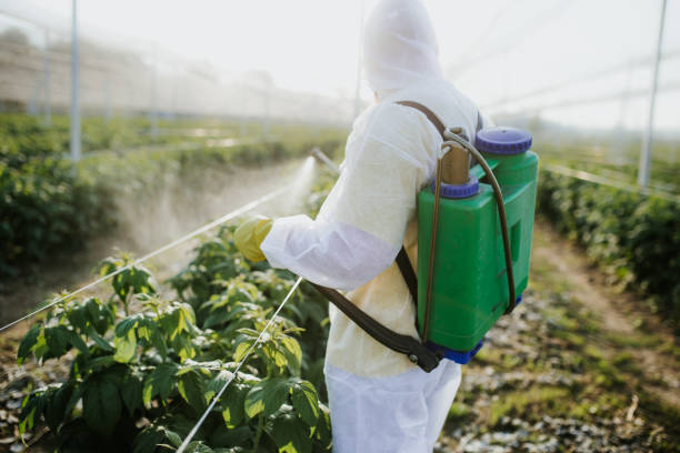 Best Wildlife Control Services  in Thompson, ND